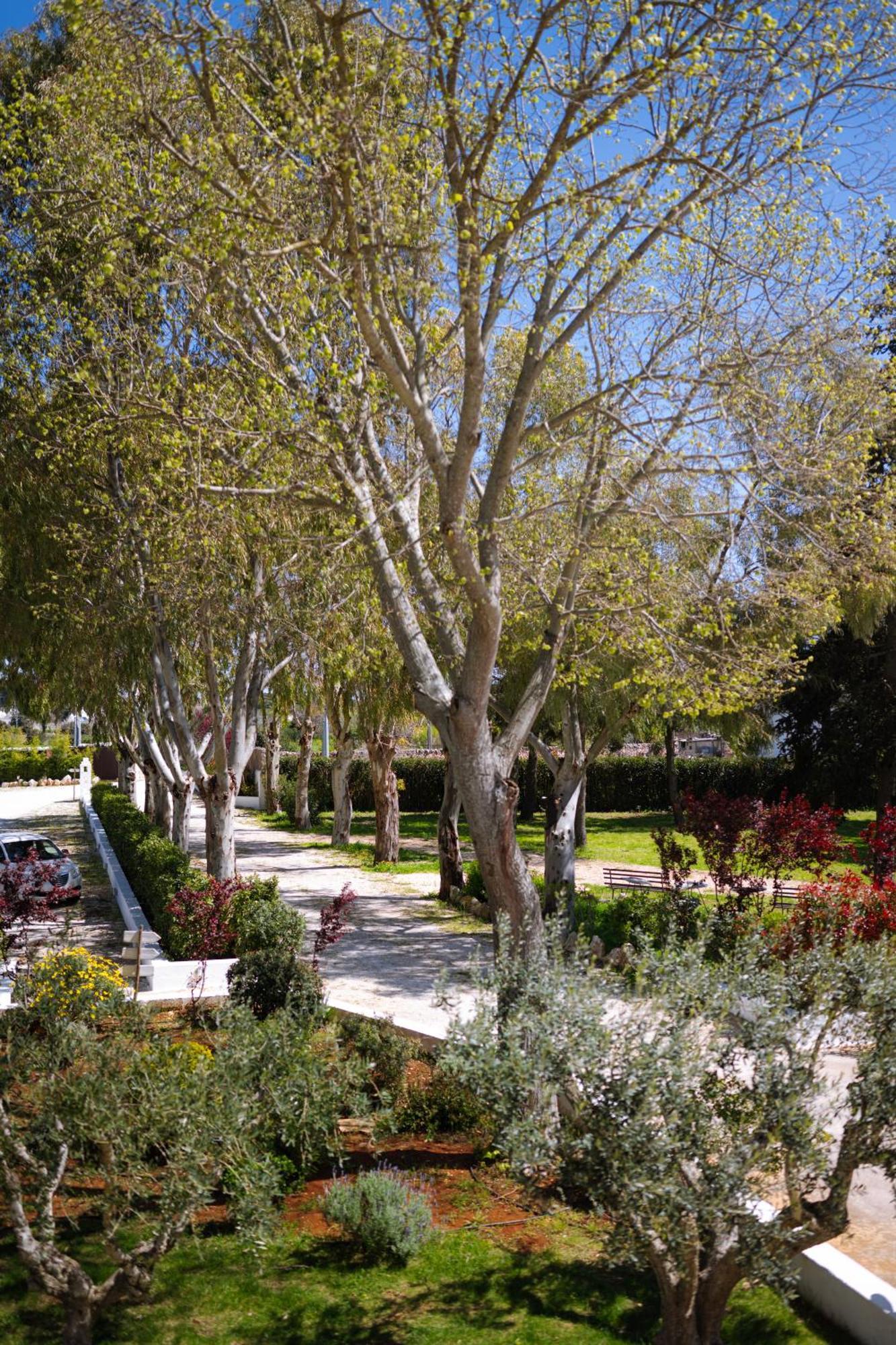 Masseria San Michele Мартіна-Франка Екстер'єр фото