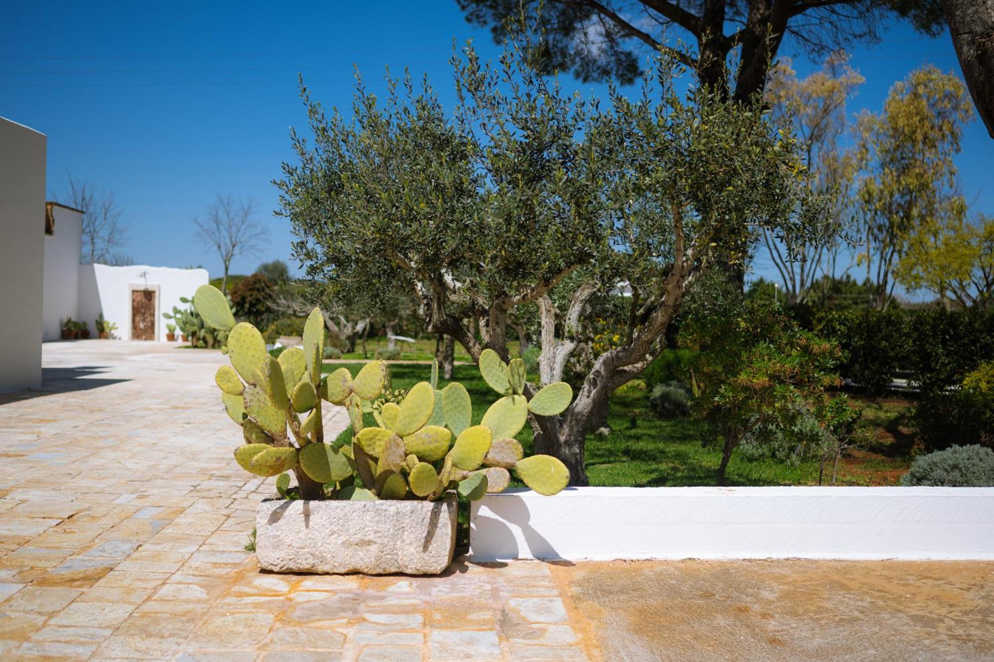 Masseria San Michele Мартіна-Франка Екстер'єр фото