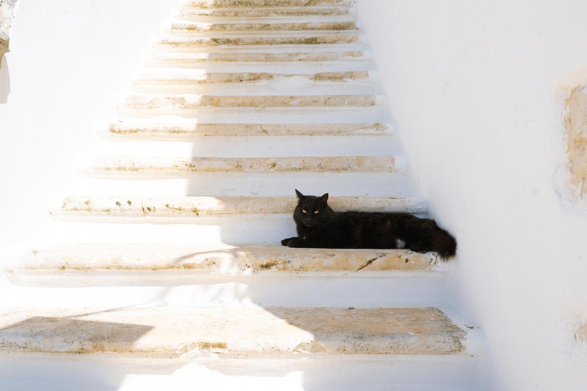 Masseria San Michele Мартіна-Франка Екстер'єр фото